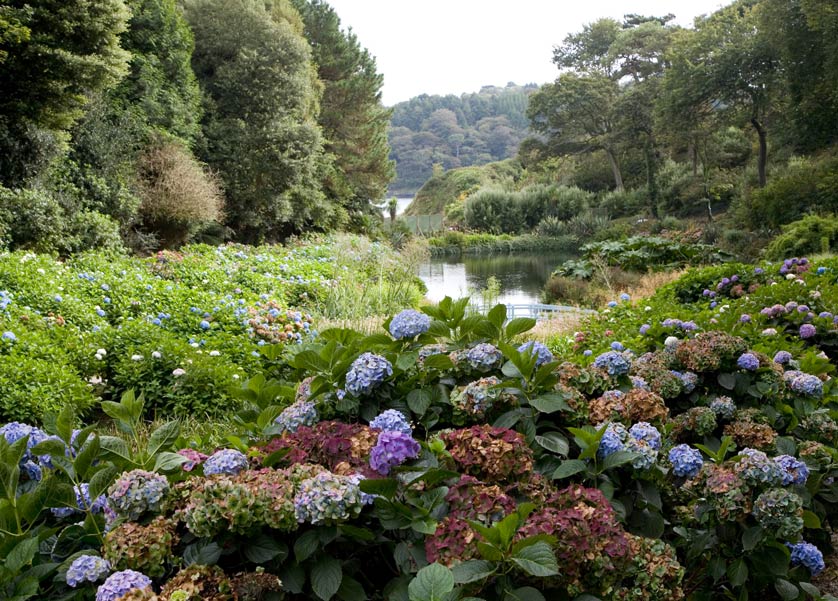Top 10 Gardens | Best of Cornwall Guide