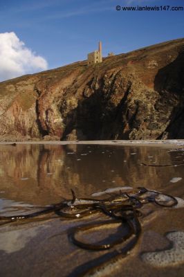 Wheal Coates from Chapel Porth
