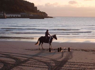 Horse on Marazion beach