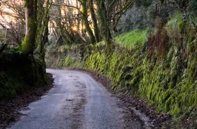 Country Lane - Bodmin Moor