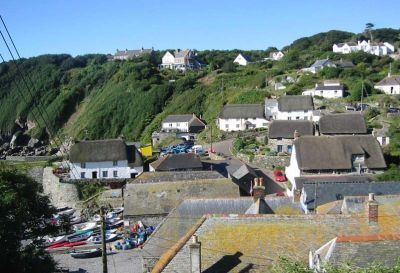 Cadgwith Cove Rooftops