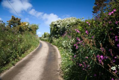 Cornish Country Lane