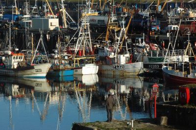 Newlyn Fishing Fleet