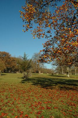 Autumn at Lanhydrock