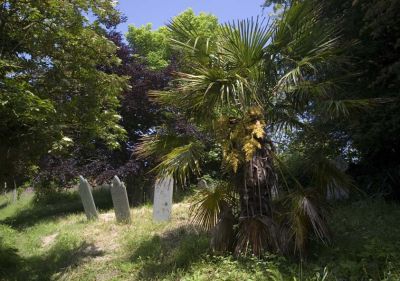 Philleigh Graveyard