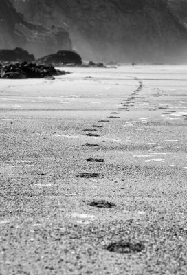 Footprints - Porthtowan beach
