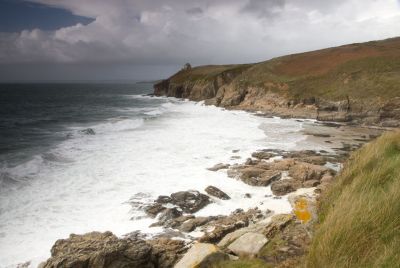 Rinsey Cove