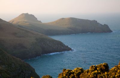 The Rumps from the East