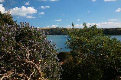 Glimpse of the River from St Mawes