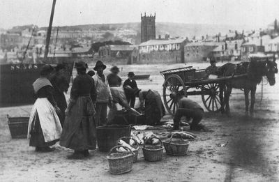 Gutting Fish - St Ives Harbour 1890
