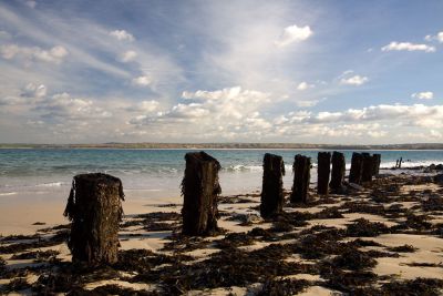 Wood Pier Stumps - St Ives