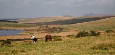 Bodmin Moor from Temple