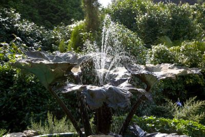 Trebah Fountain