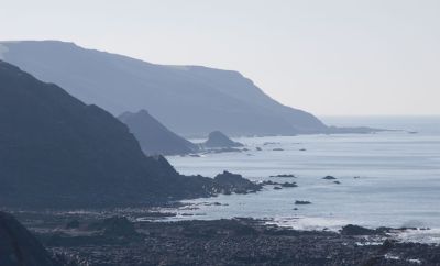 Widemouth Bay Cliffs