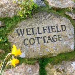 Wellfield Cottage