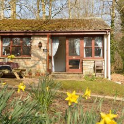 Woodland Holiday Cottage, near St Ives, Holiday Park location with swimming pool