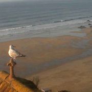 Tolcarne Beach Webcam