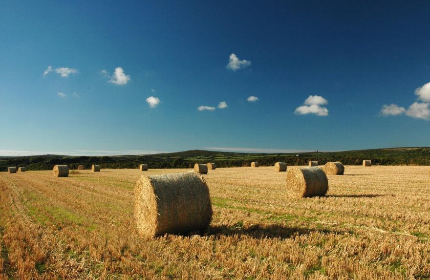 Hay Bales | Cornwall Guide Images